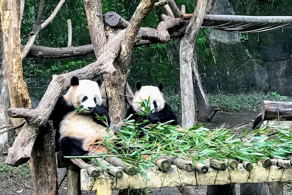 重慶動物園